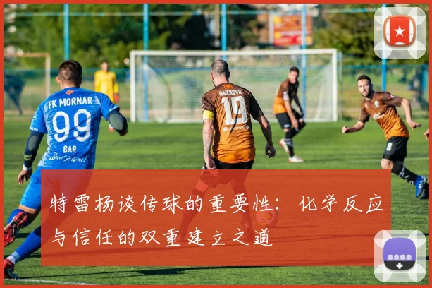 特雷杨谈传球的重要性：化学反应与信任的双重建立之道
