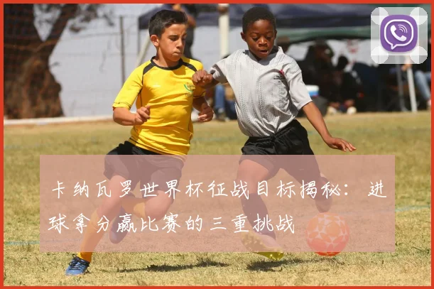 卡纳瓦罗世界杯征战目标揭秘：进球拿分赢比赛的三重挑战