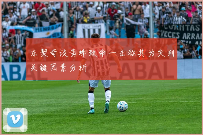 东契奇谈黄蜂致命一击称其为失利关键因素分析